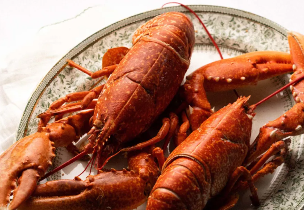 How to Reheat Cooked Lobster?