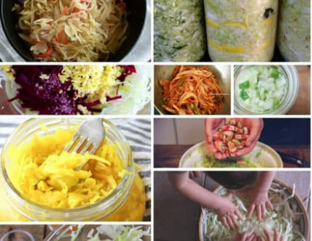 Types Of The Sauerkraut